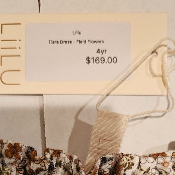 LIILU LITTLE GIRLS TIARA DRESS - FIELD FLOWERS - 2YR & 4YR - MSRP $169 - NWT - Picture 7 of 11
